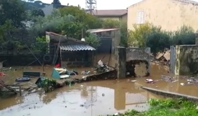 Download Video: Maltempo in Sardegna, a Monti (Sassari) strade e abitazioni invase dall'acqua (17.11.21)