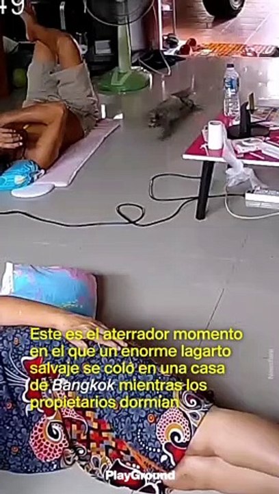 Tremendo susto