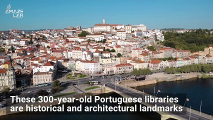Amazing Footage Shows Bats Flying Around 300-Year-Old Portuguese Libraries
