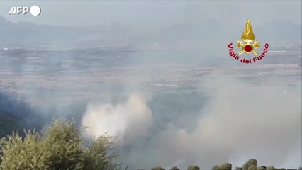 Ecomafie: nel 2020 commessi 4 reati all'ora, in aumento sull'anno precedente