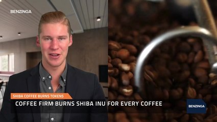 Shiba Coffee Burns Tokens