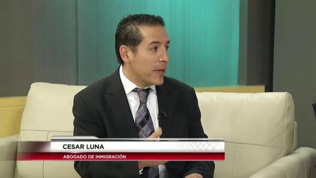 Inmigrantes indocumentados desaprovechan seguro de auto