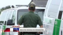 Rescatan a decenas de inmigrantes en Palmview