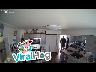 Pup Pushes Door Open, Confusing Neighbors and Police