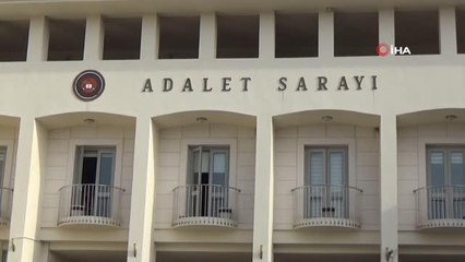 Bodrum'daki kedi ölümleri ile ilgili suç duyurusu