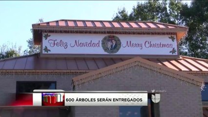 600 árboles fueron entregados el pasado sábado en Tampa