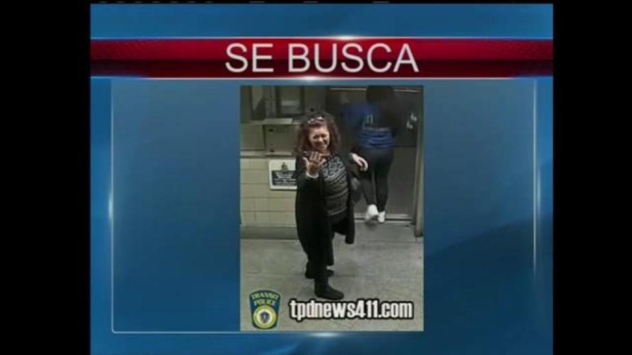 Se busca