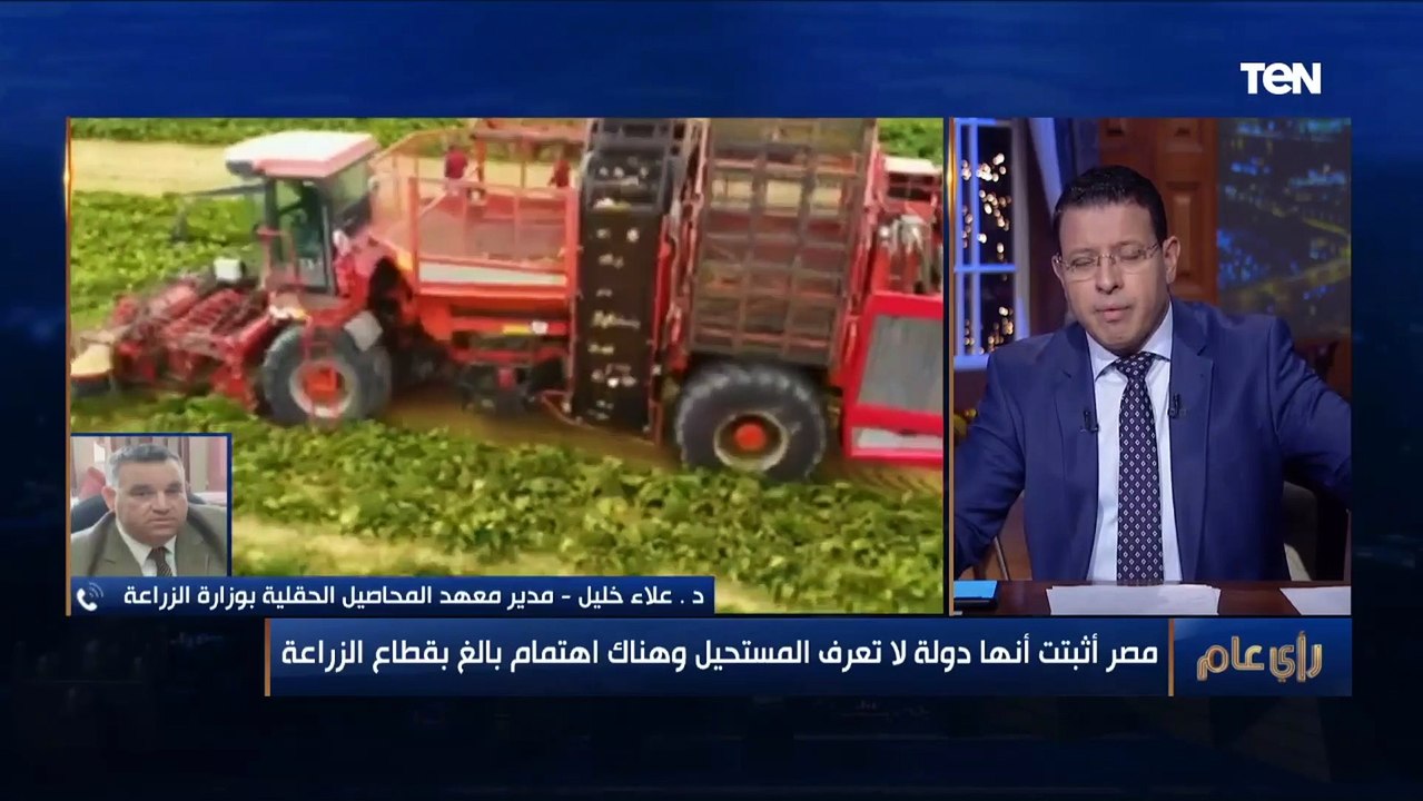 مدير معهد المحاصيل الحقلية: لأول مرة في تاريخ مصر إعلان سعر لتوريد "القمح" قبل الزراعة