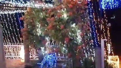 Casa é iluminada para o Natal em Blumenau com 65 mil lâmpadas