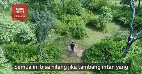Hutan vs berlian_ Perjuangan warga India pertahankan hutan adat dari tambang