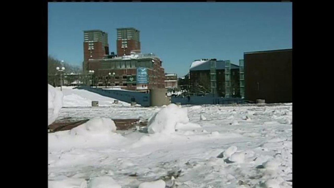 Primera nevada
