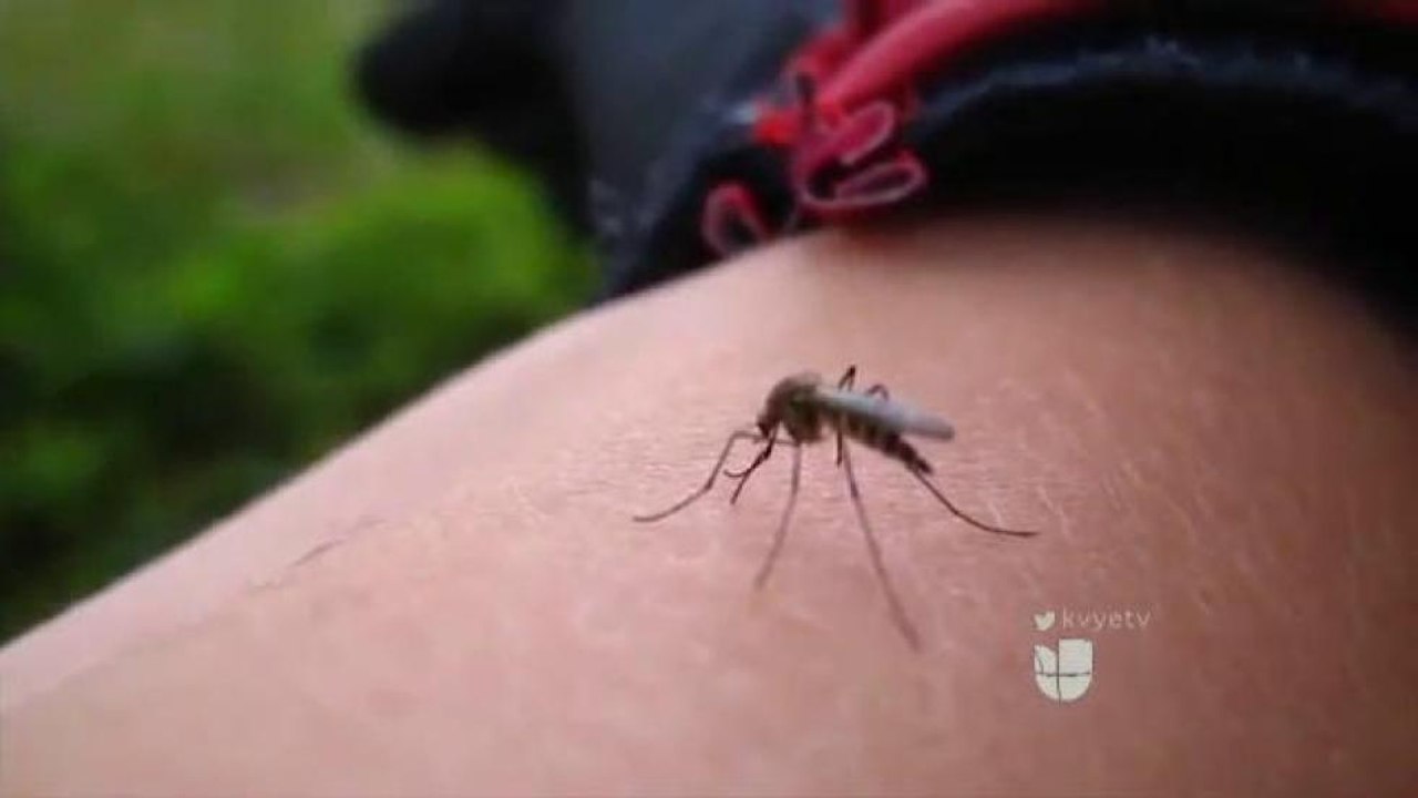 Toman Medidas Preventivas