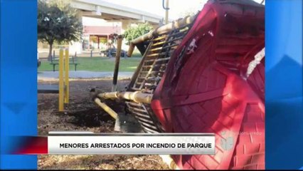 Arrestan a Menores por Incendio de Parque