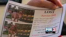 Korean War Veteran Pleading for Help in Finding Lost Service Dog