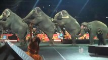 Ringling Brothers retirará elefantes utilizados en funciones