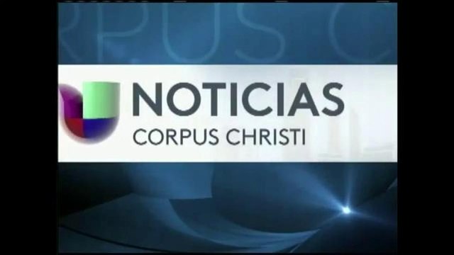 Todo Bebé: Como combatir y prevenir los piojos