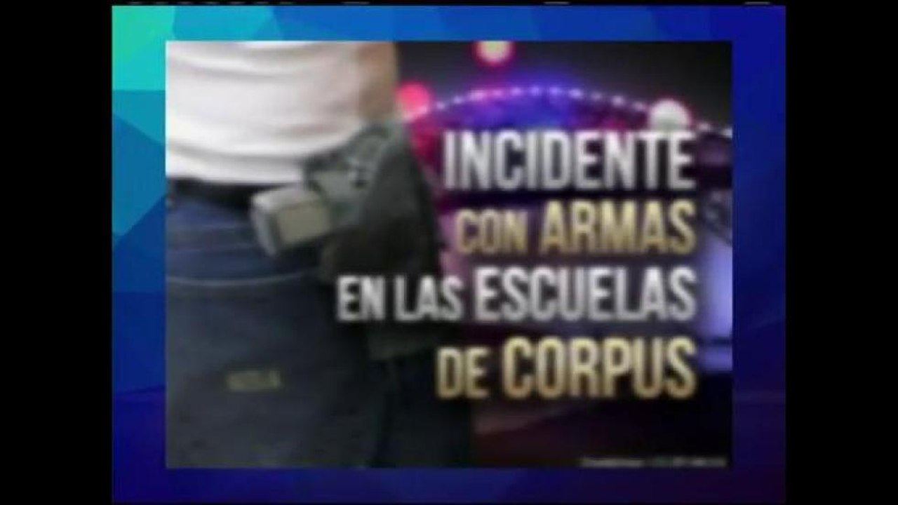Armas en las escuelas