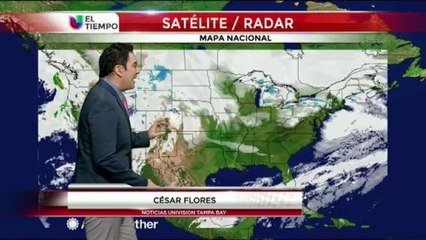 Alertan sobre las bajas temperaturas en la Florida