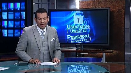 Tampa es la segunda ciudad que recibe más ataques cibernéticos en la nación