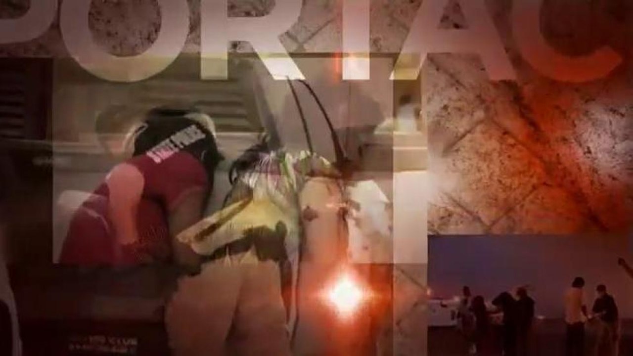 ¿Redada o deportación?