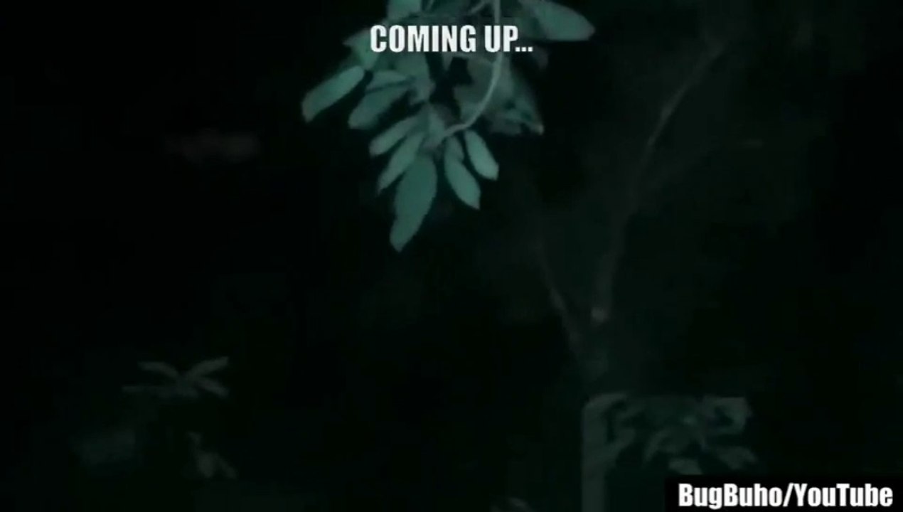 Night mares Ep2