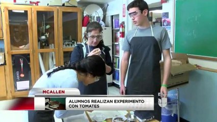 Alumnos realizan experimento con Tomates