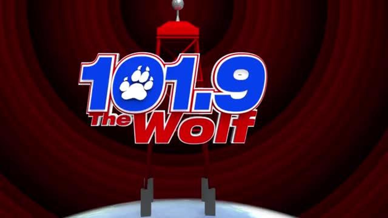 THE WOLF ACOUSTIC DOGHOUSE