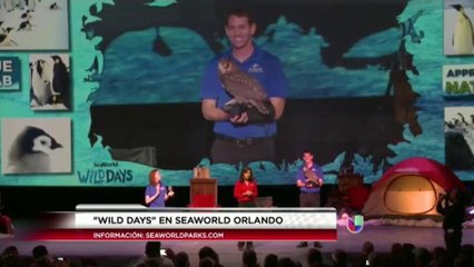 "Wild Days" en Seaworld Orlando