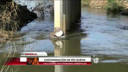 Contaminación de Río Nuevo y soluciones ante problemas ambientales