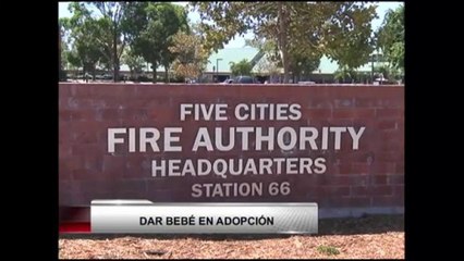 Opciones para dar bebés en adopción