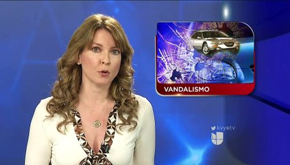 Arrestan a sospechosos de vandalismo.