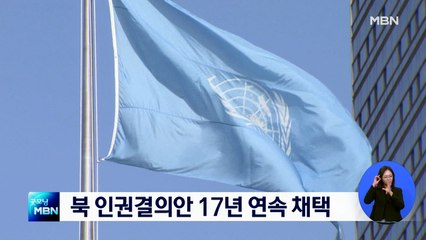 북한인권결의안, 유엔 위원회 17년 연속 채택