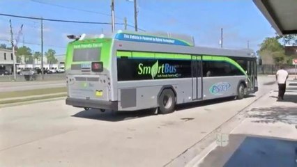 Nuevos cambios en el transporte público en el condado Pinellas