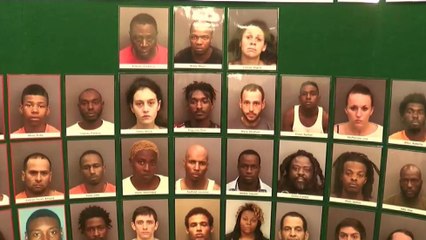 Duro golpe al narcotráfico en Tampa
