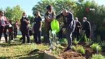 Alzehimer hastaları tıbbi aromatik bitkiler dikti