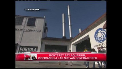 Reportaje especial parte 1: MBA: inspirando a las nuevas generaciones