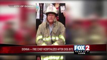 Donna Fire Chief Attacked by Pit Bull