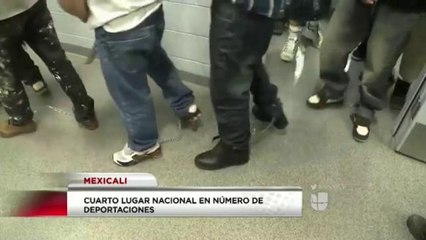 Reducción en Deportaciones ✈️