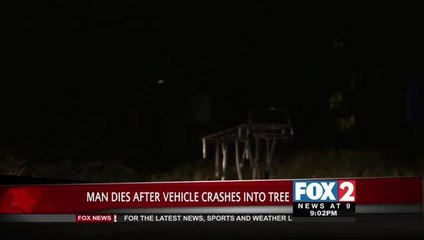Man Dies in One-Vehicle Accident in Donna