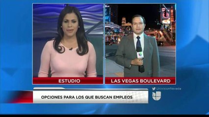 Opciones para Personas en Búsqueda de Empleos