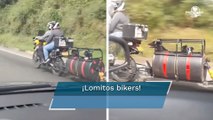 Pareja “tunea” su moto para que sus perritos puedan viajar con ellos