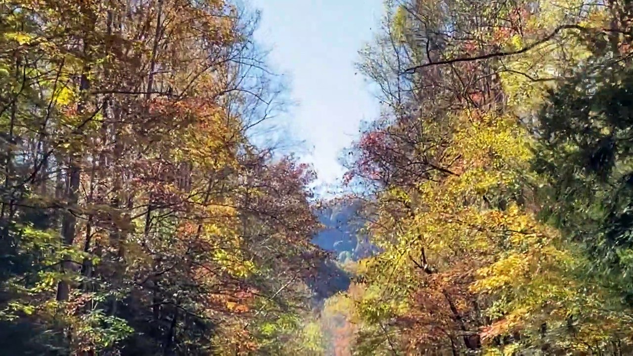 Going To Gatlinburg TN To Visit Great Smoky Mountains :)