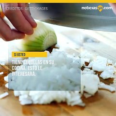 Si usted tiene cebollas en su cocina, esto le interesará