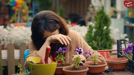 El Amor esta en el Aire- Love is in the Air- 78