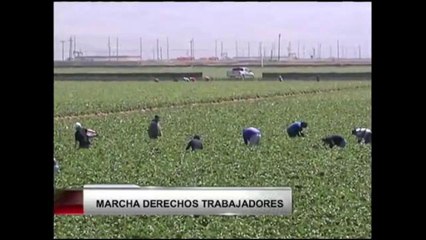 Marcha en pro de derechos trabajadores agrícolas