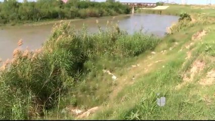 Iniciativa Estatal para Combatir el Carrizo en la Frontera