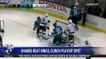 Sharks Back in Playoffs for Stanley Cup