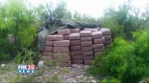 U.S. and Mexican officials collaborate in a massive marijuana seizure