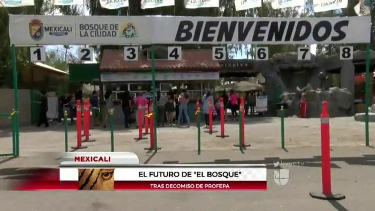 Decomiso de animales.