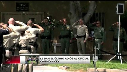 Emotiva Ceremonia, Le Dan El Último Adiós al Oficial Canino, Nicky